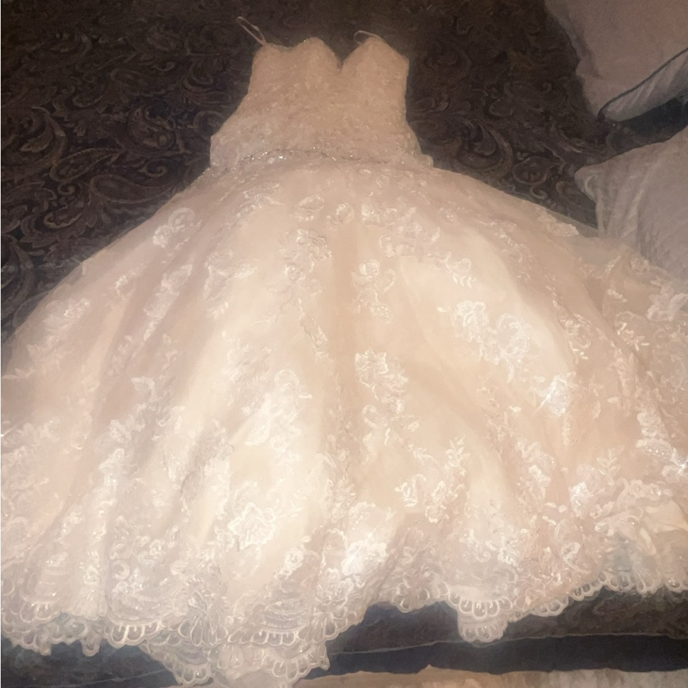 "Elegant 2016 Wedding Dress for Sale – Perfect Condition!" - Picture 1 of 8